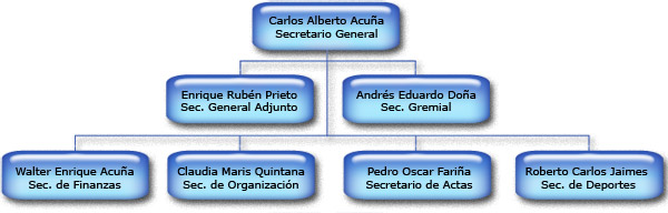 Organigrama